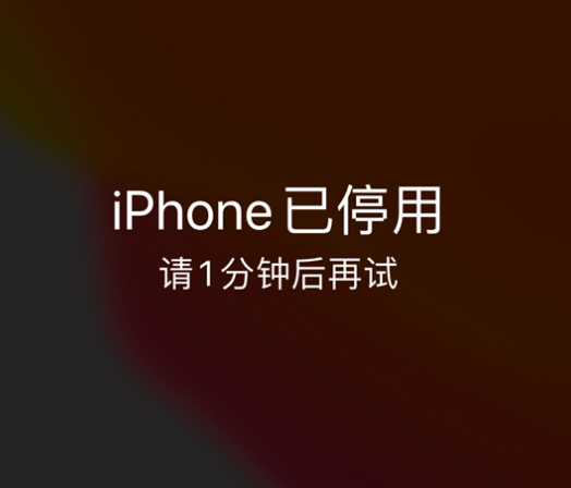 方正苹果手机维修分享:iPhone 显示“不可用”或“已停用”怎么办？还能保留数据吗？ 