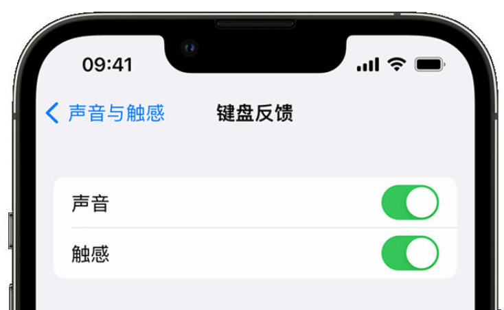 方正苹果手机维修分享iPhone 14触感键盘使用方法 