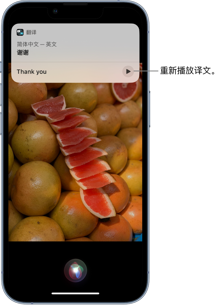 方正苹果14维修分享 iPhone 14 机型中使用 Siri：了解 Siri 能帮你做什么 