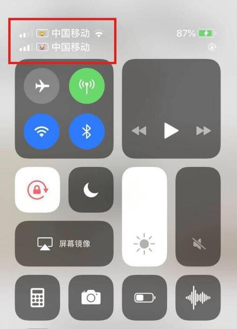 方正苹果手机维修分享为 iPhone 12 双卡设置标签 